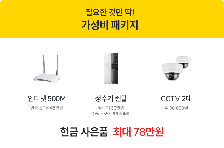 가성비 패키지